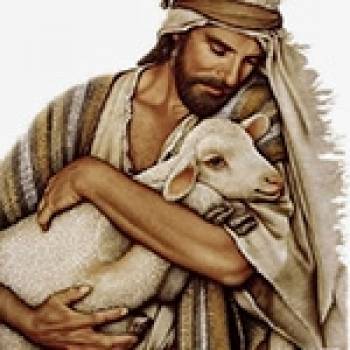 The Shepherd, the Gate and the Sheepfold